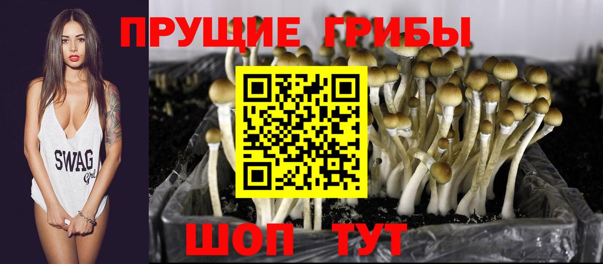 даркнет сайт  Галлюциногенные грибы мухоморы  Псилоцибиновые грибы мицелий  Вход с VPN  Сыктывкар 
